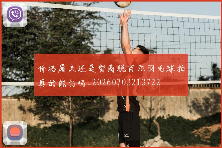 价格屠夫还是智商税百元羽毛球拍真的能打吗_20260703213722
