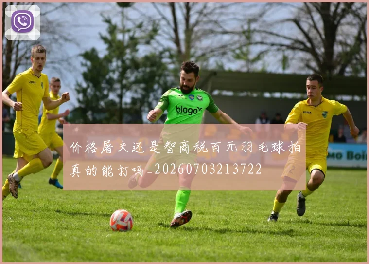 价格屠夫还是智商税百元羽毛球拍真的能打吗_20260703213722