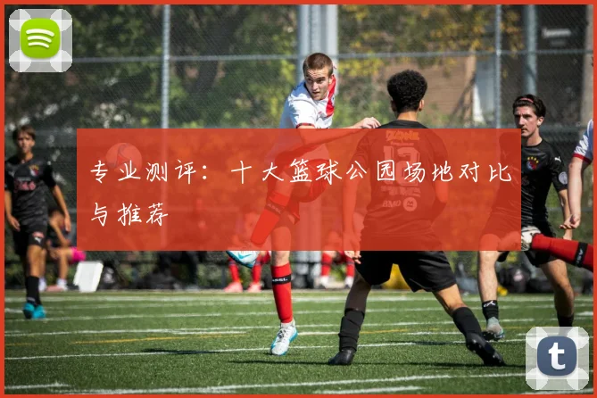 专业测评:十大篮球公园场地对比与推荐